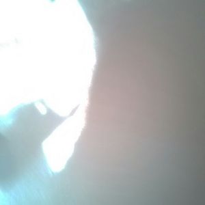 Meet your Posher, Michaela